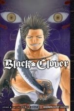 Black Clover (EN) T.01 | 9781421591582
