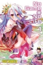 No Game No Life - Light Novel (EN) T.01 | 9780316383110