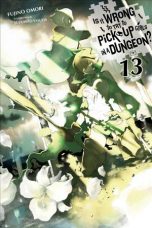 Is it wrong to try to pick up girls in a dungeon ? - Light Novel (EN) T.13 | 9781975328191