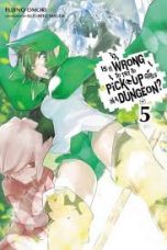 Is it wrong to try to pick up girls in a dungeon ? - Light Novel (EN) T.05 | 9780316394192