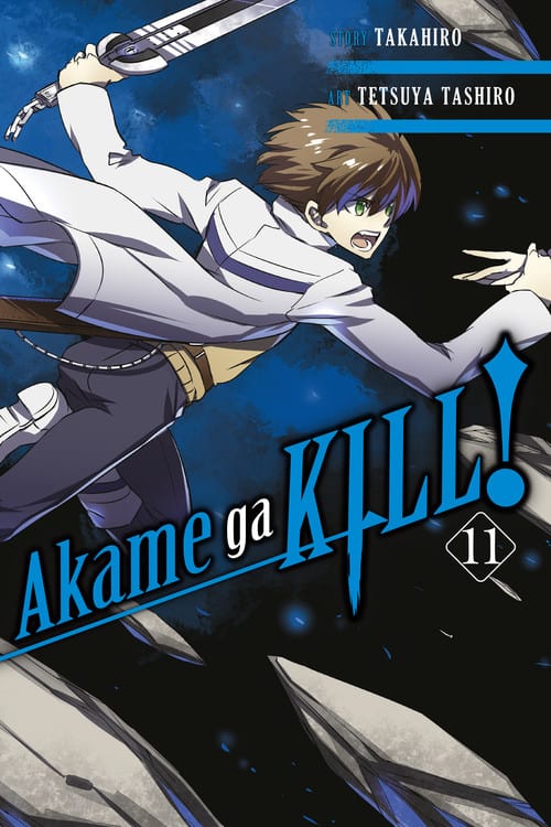 Akame Ga Kill (EN) T.11 | 9780316439602
