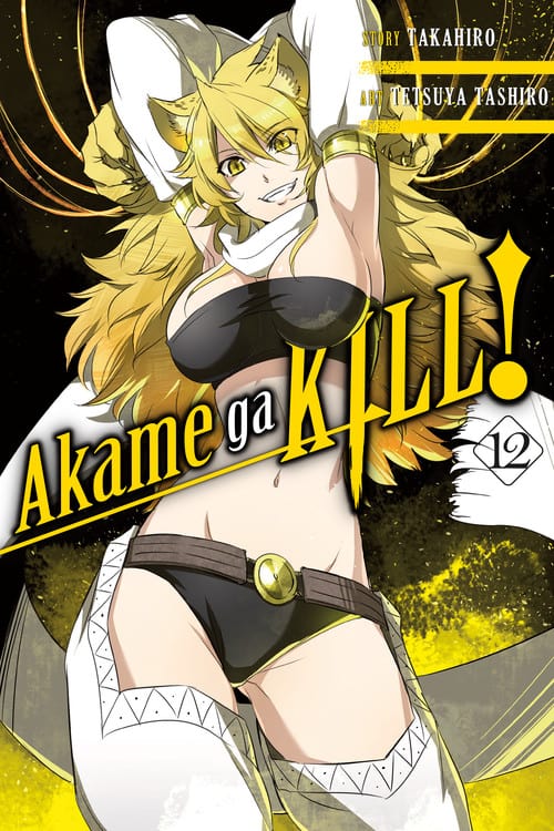 Akame Ga Kill (EN) T.12 | 9780316473323