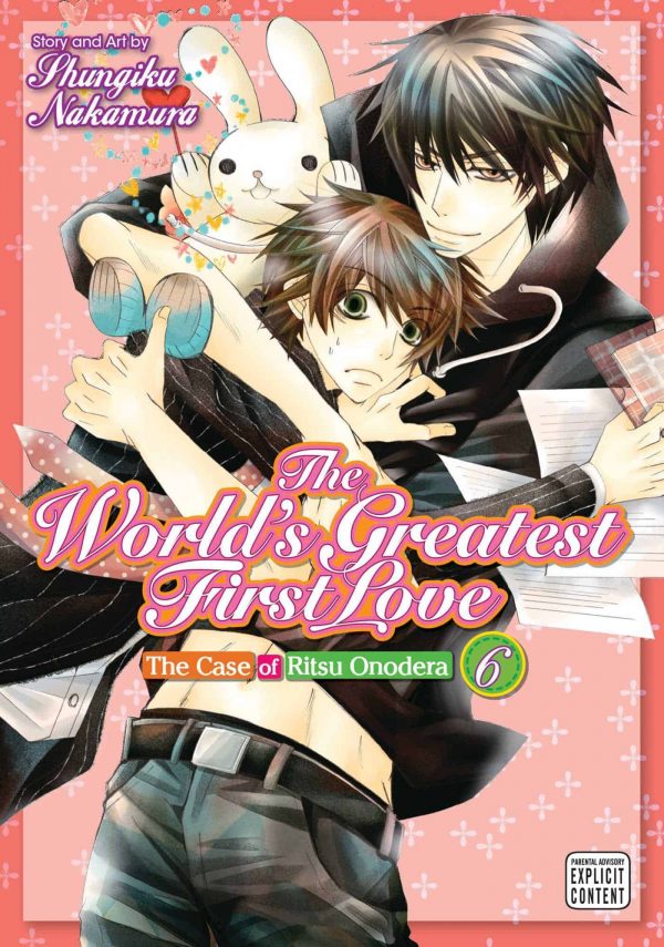 World's Greatest First Love -Sekai Ichi Hatsukoi- (EN) T.06 | 9781421593500