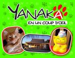 Yanaka en un Coup d'Oeil | 9791091610391