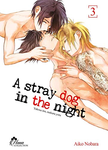 Stray Dog in the night T.03 | 9782368776179