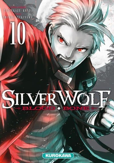 Silver Wolf  T.10 | 9782368529560