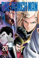 One Punch Man (EN) T.20 | 9781974714742
