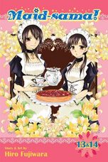 Maid Sama 2-en-1 (EN) T.07 | 9781421581361