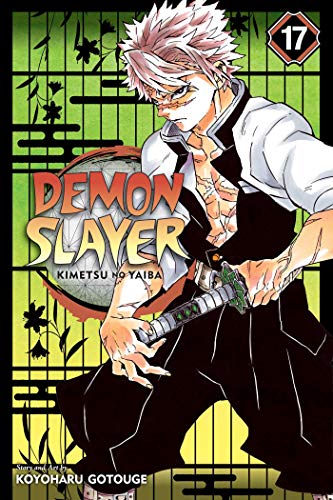 Demon Slayer: Kimetsu no Yaiba (EN) T.17 | 9781974710614