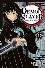 Demon Slayer T.12 | 9782809490084