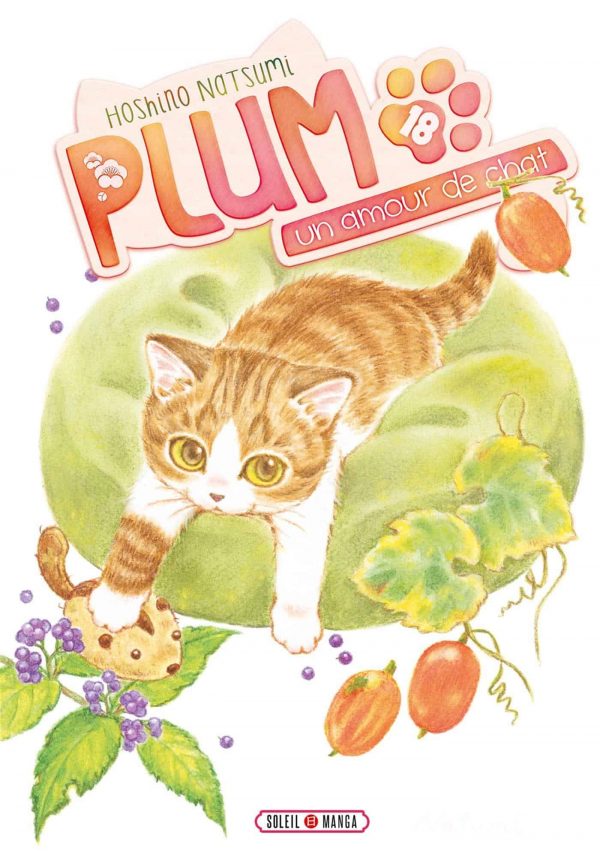 Plum, un amour de chat T.18 | 9782302091696
