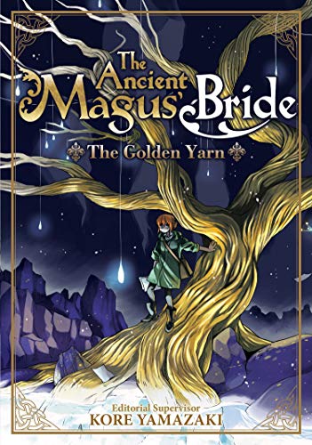 Ancient magus' bride (The) - LN (EN) T.01 | 9781626929753