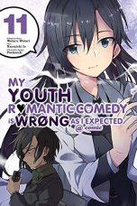 My youth romantic comedy is wrong, as I expected (EN) T.11 | 9781975304461