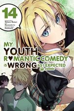 My youth romantic comedy is wrong, as I expected (EN) T.14 | 9781975316129