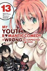 My youth romantic comedy is wrong, as I expected (EN) T.13 | 9781975399504