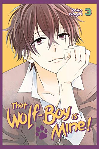 That wolf-boy is mine - Omnibus ed. (EN) T.02 | 9781646513680