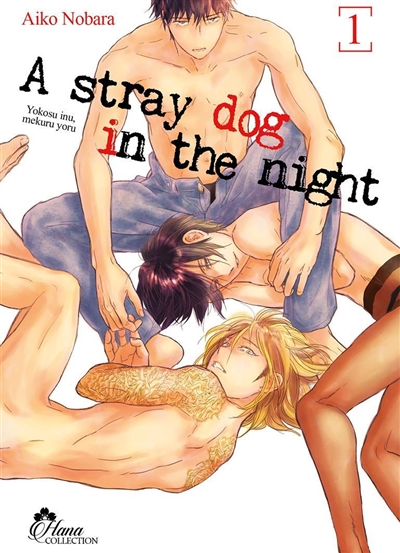 Stray Dog in the night T.01 | 9782368775134