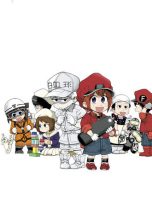 Cells at work: Baby (EN) T.04 | 9781646513031