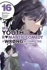 My youth romantic comedy is wrong, as I expected (EN) T.16 (release in October) | 9781975338107