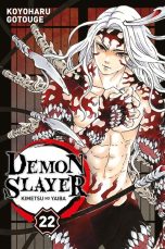 Demon Slayer T.22 | 9791039106863