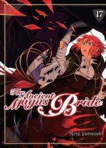 Ancient Magus Bride (The) T.17 | 9782372876117