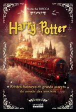 Harry Potter: Petites histoires et grands secrets du monde des sorciers - Tout ce que vous ignorez | 9782379892165