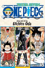One Piece - Omnibus ed. (EN) T.15 (43/44/45) | 9781421583402