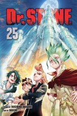Dr. Stone (EN) T.25 | 9781974736317