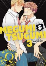 Megumi and Tsugumi (EN) T.03 | 9781974738892