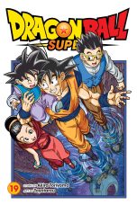 Dragon Ball Super (EN) T.19 | 9781974739103