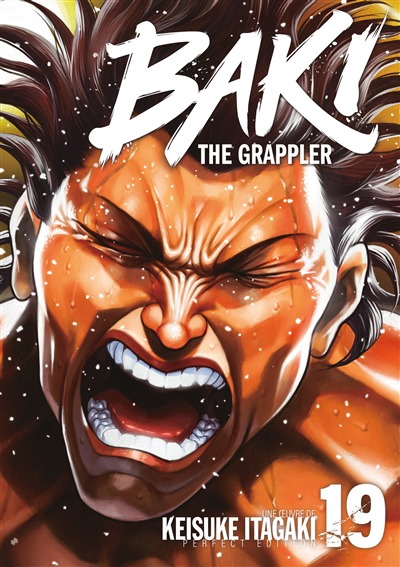 Baki : The grappler - Perfect Ed. T.19 | 9782382754849