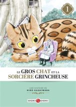 Gros chat et la sorciere grincheuse (Le) T.01 | 9791041102150