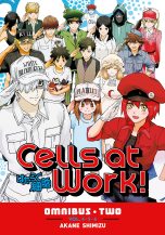 Cells at work - Omnibus Ed. (EN) T.02 | 9781646519224