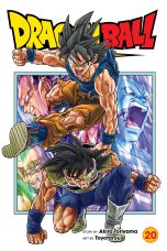 Dragon Ball Super (EN) T.20 | 9781974743605