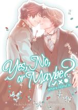 Yes, No, or Maybe - LN (EN) T.03 | 9781638588221
