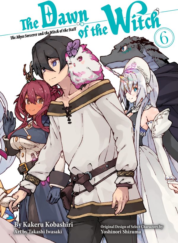 Dawn of the witch (The) - LN (EN) T.06