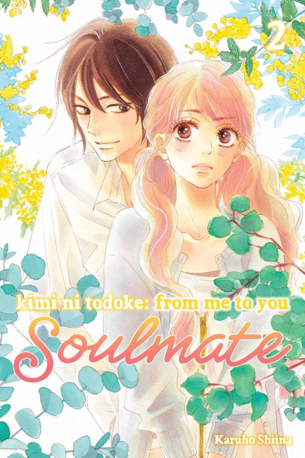 Kimi ni todoke: From me to you - Soulmate (EN) T.02 | 9781974746095