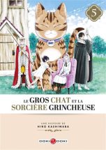 Gros chat et la sorciere grincheuse (Le) T.05 | 9791041107223