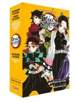 Demon Slayer Coffret T.15 + Roman jeunesse T.06 | 9791039127400