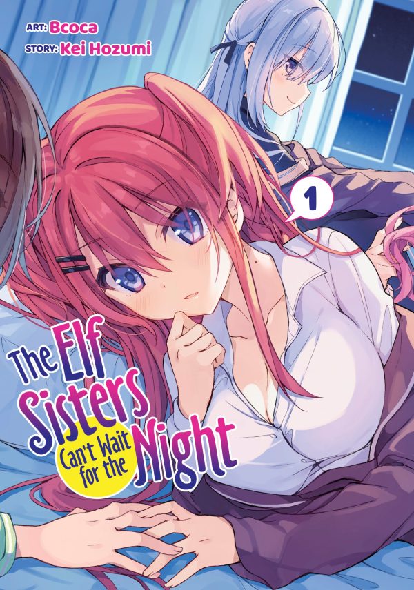 Elf sisters can't wait for the night (The) (EN) T.01