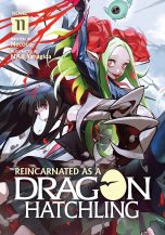 Reincarnated as a dragon hatchling - LN (EN) T.11 | 9798893734669
